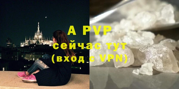 спиды Ростов