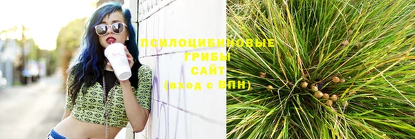спиды Ростов