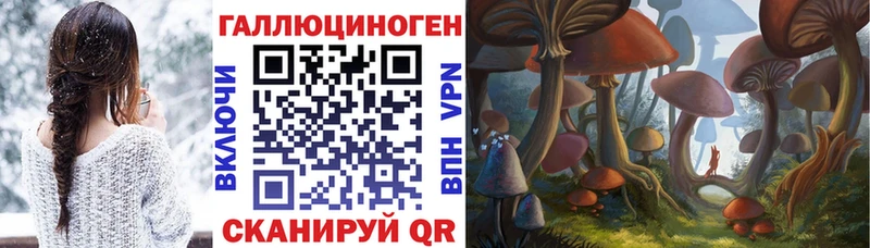 Галлюциногенные грибы прущие грибы Салехард